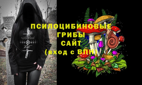 амф Балахна