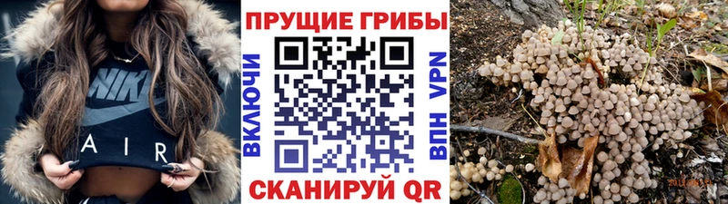 это клад  Ленинск-Кузнецкий  Псилоцибиновые грибы ЛСД 