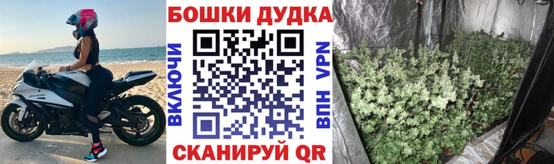 это телеграм  Ленинск-Кузнецкий  Бошки Шишки Ganja  цена наркотик 
